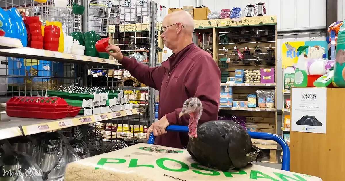 A man in a maroon jacket holds a bird while shopping in a pet store, surrounded by bird supplies.