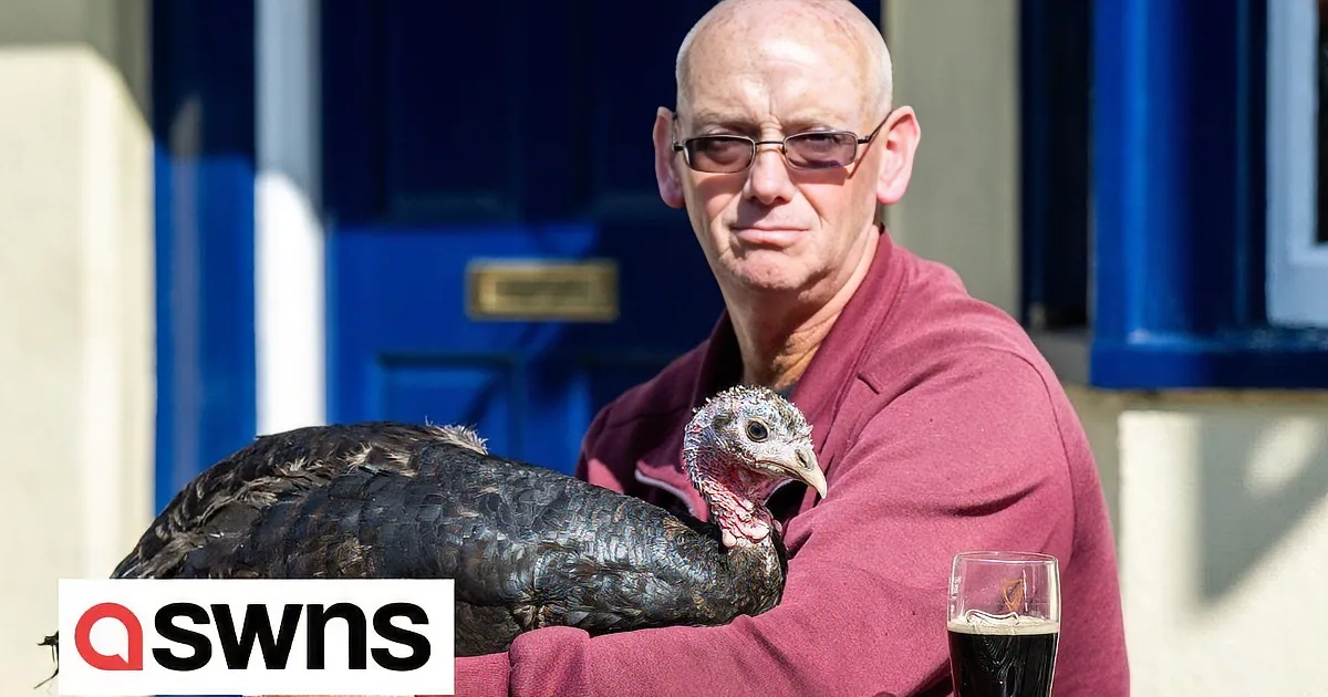 Man Takes His 2-Year-Old Pet Turkey to Pubs and Dentist Appointments