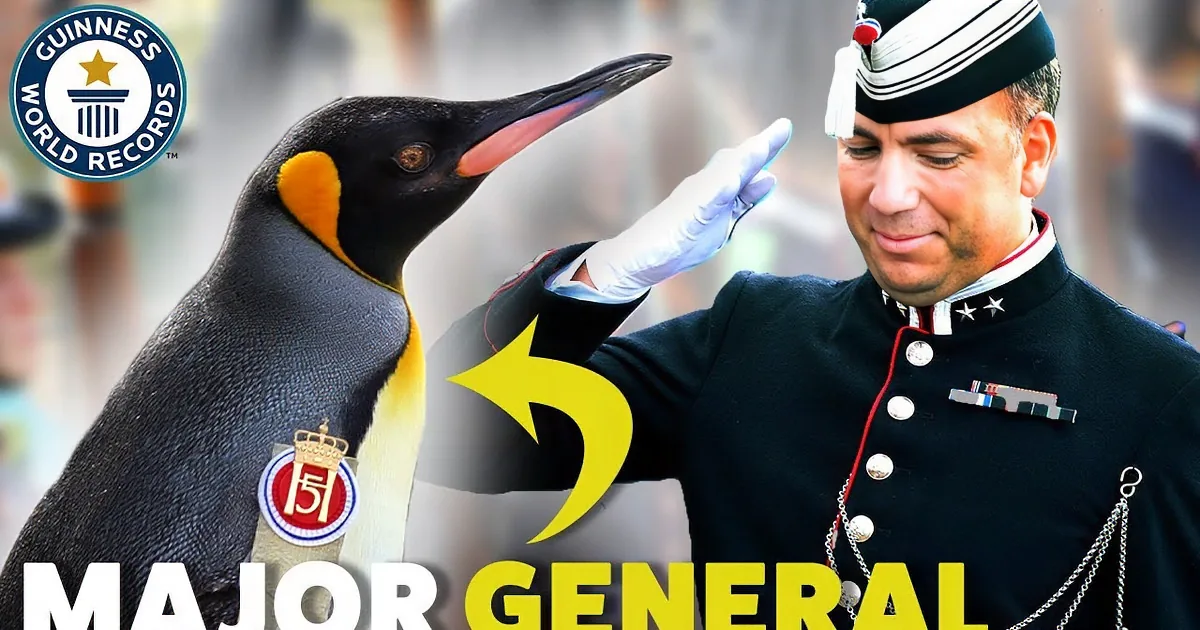 A penguin in a crown patch salutes a man in a military uniform with a white-gloved hand.