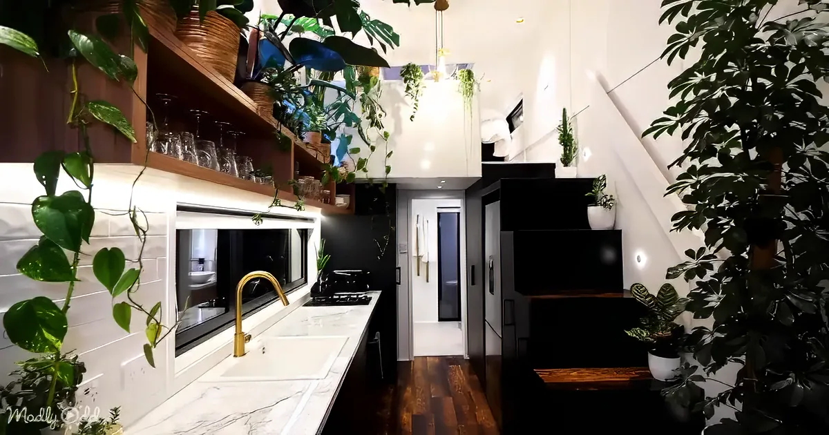A modern kitchen with white marble countertops, black appliances, and abundant green plants.