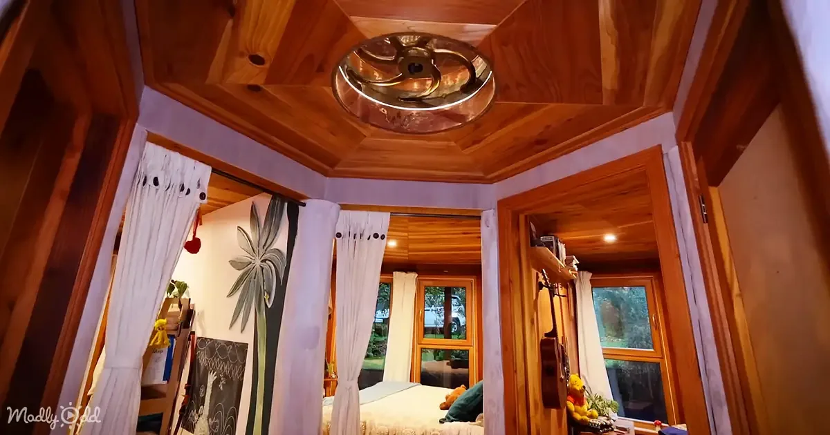 A cozy, wooden interior with a ceiling fan, white curtains, and a bed with a palm tree mural on the wall.