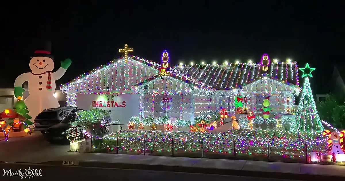 Light-Hearted Fun in 2022: ''Holiday Lights on Hague'' Sparkles
