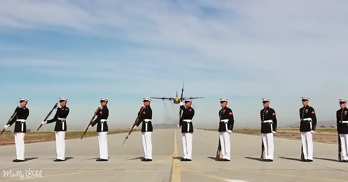 Marines in uniform stand in formation on a runway, saluting an approaching aircraft.