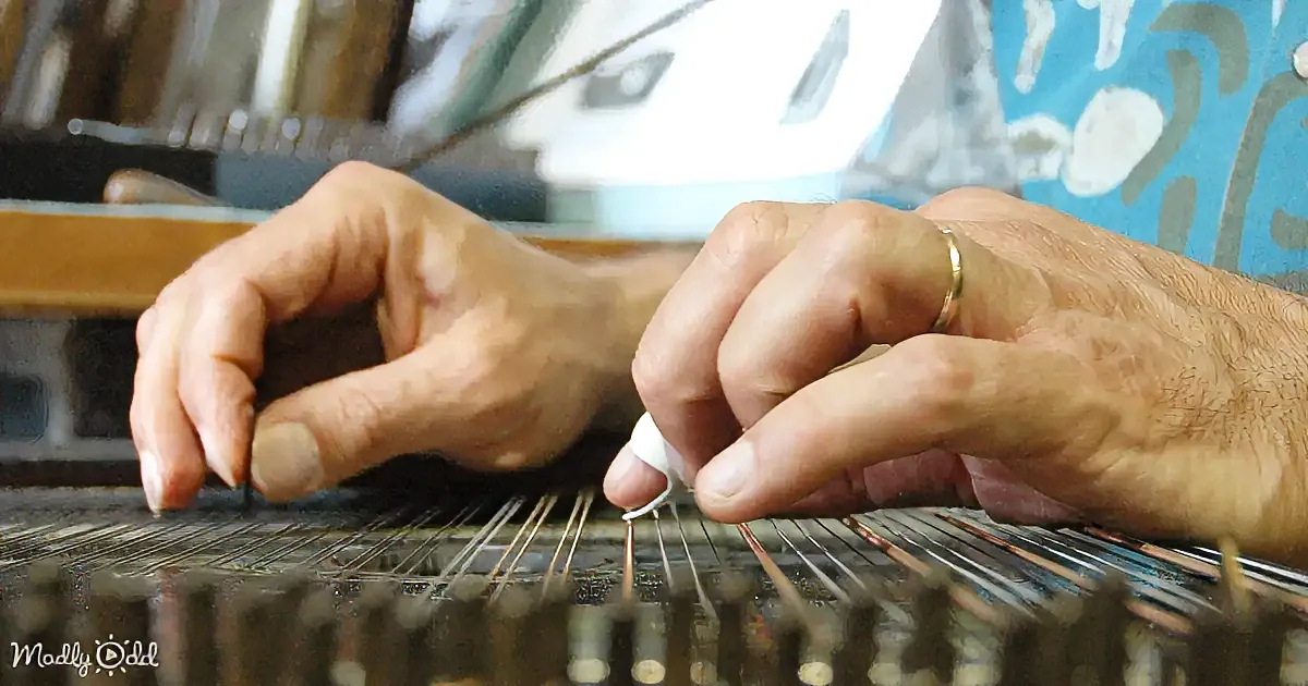 Hands playing a stringed instrument with a small tool, close-up view.