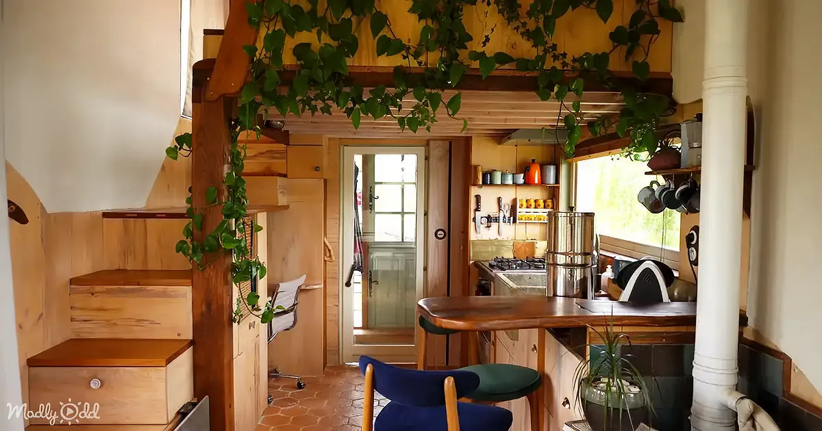 A cozy, rustic kitchen with wooden furniture, plants, and a small dining area.