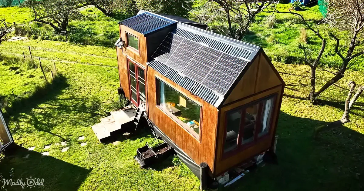 Ultra Affordable Diy Tiny Home Strikes a Chord of Simplicity
