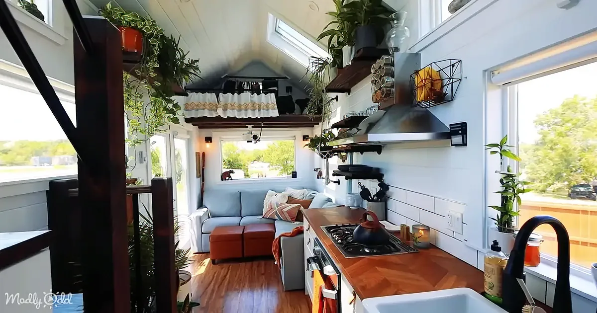 A cozy, well-lit tiny home interior with a kitchen, living area, and abundant greenery.