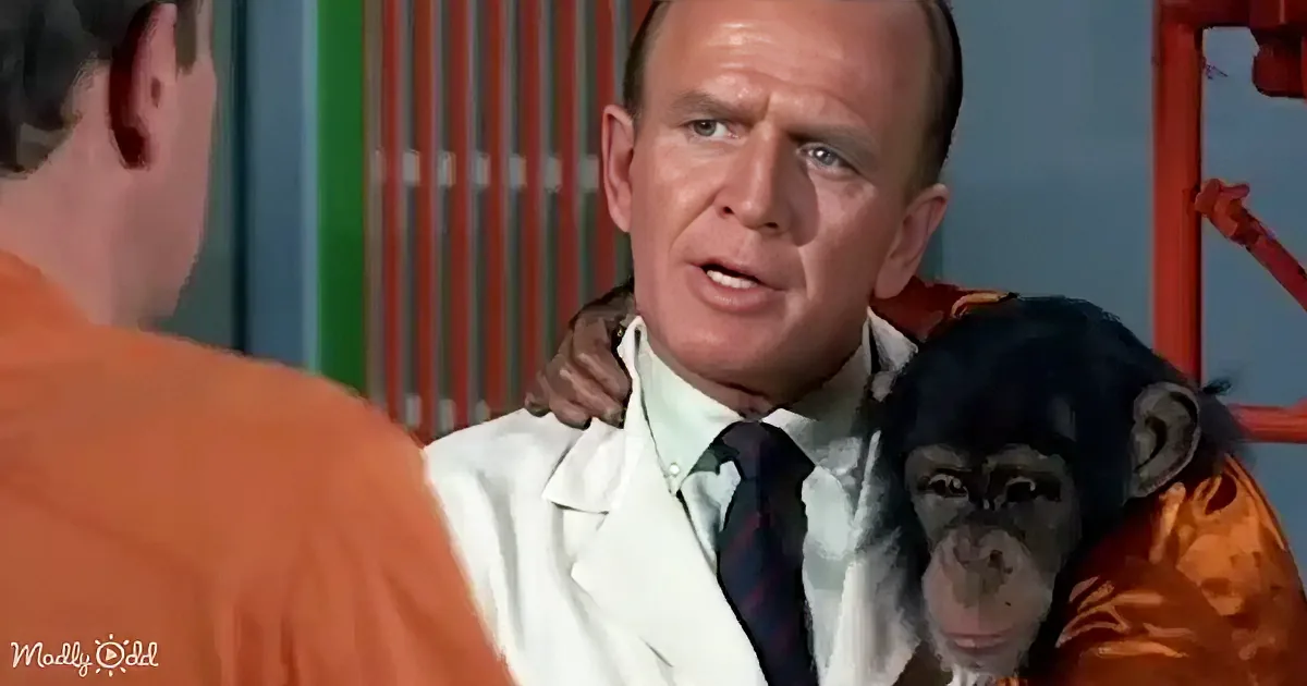 A man in a lab coat holds a monkey while another man in an orange shirt looks on.