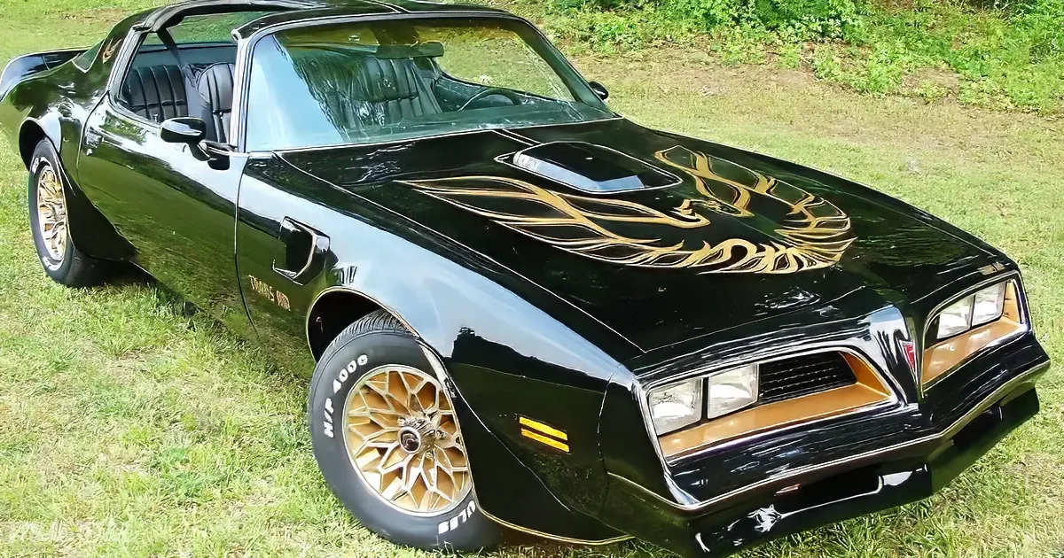 A black 1977 Pontiac Trans Am with gold flame decals and wheels is parked on grass.