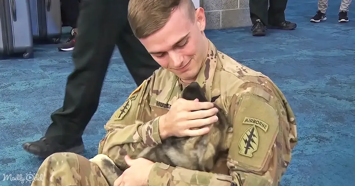 Soldier Rescues a Puppy Overseas and Their Reunion Is Pure Joy
