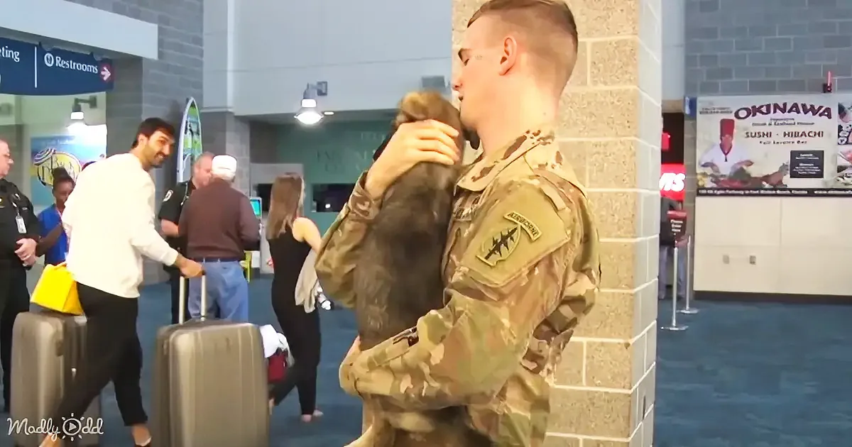 A soldier in camouflage holds a small dog while standing in an airport terminal.