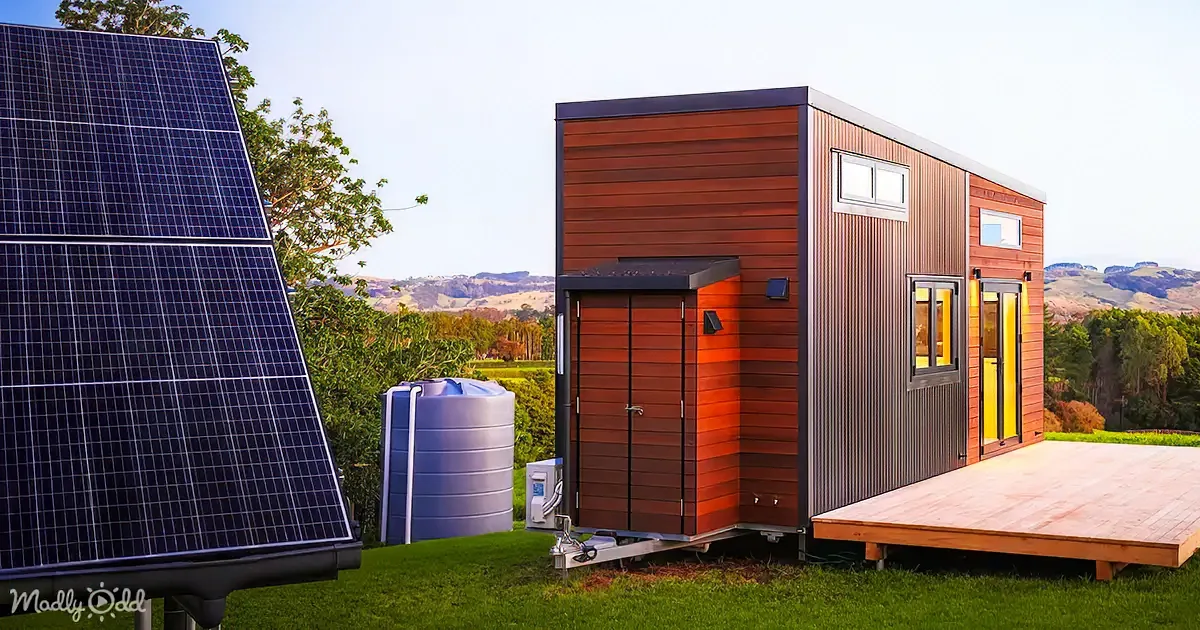 Witness the Creation of an Amazing off-Grid Tiny House During University Days