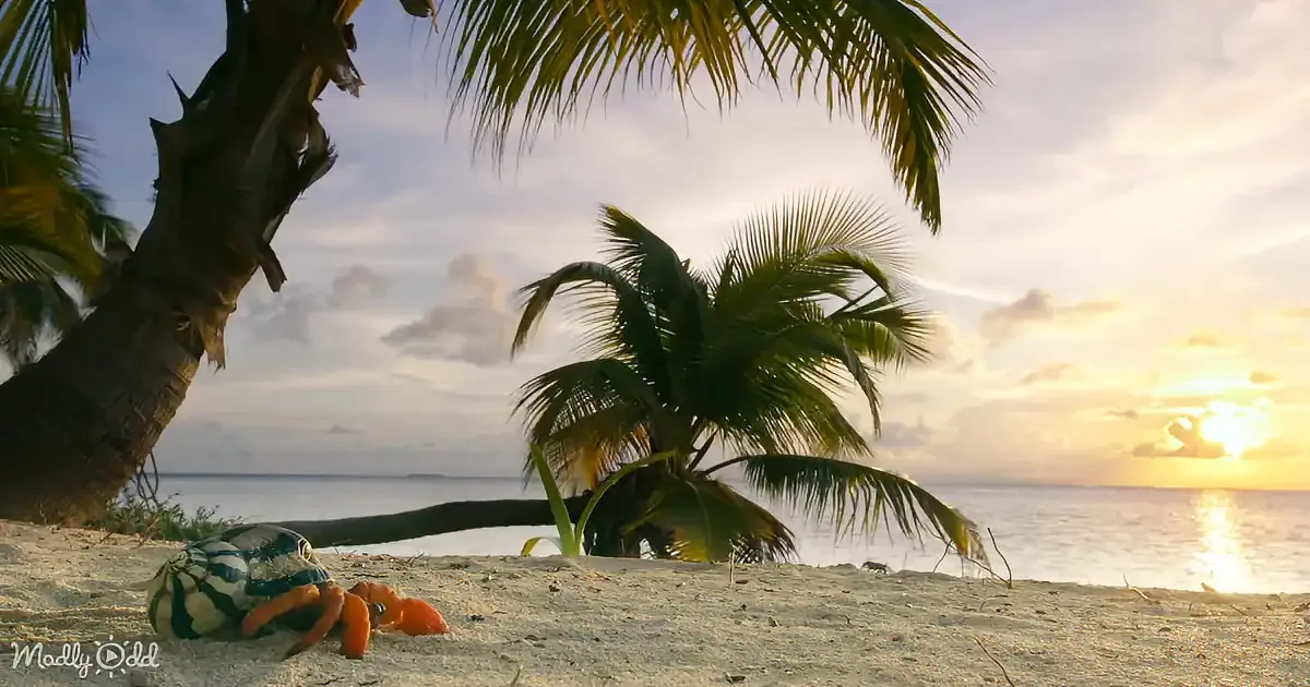 A hermit crab with a colorful shell sits on sandy beach, palm trees sway, and the sun sets over the ocean.