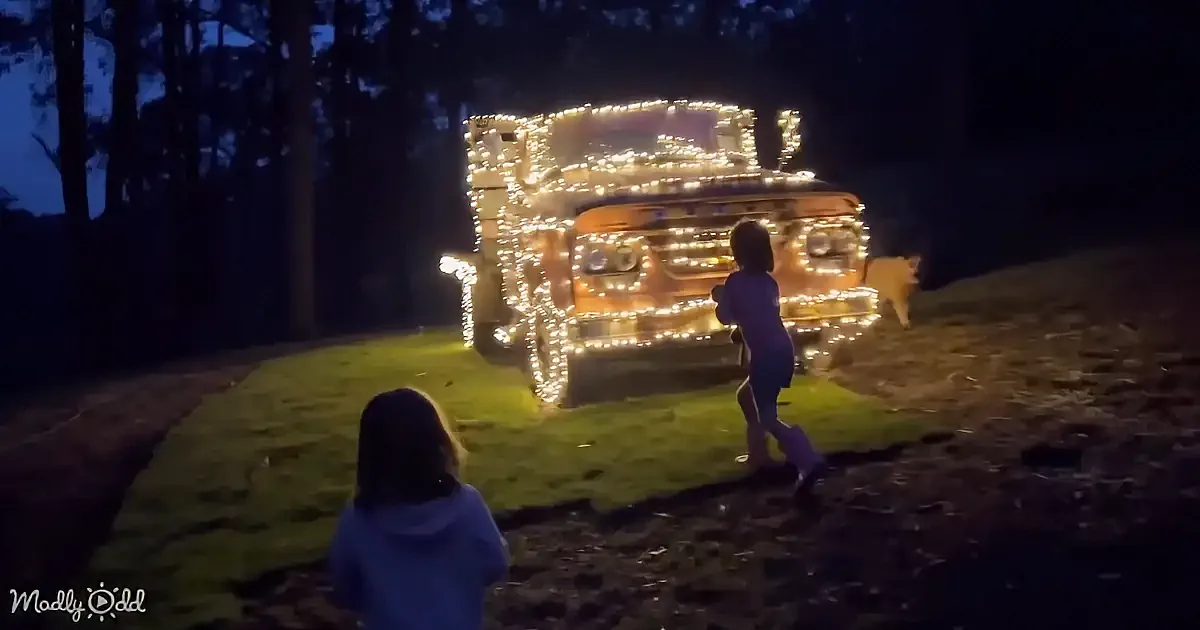 A vintage bus adorned with lights is surrounded by people and a dog at night.