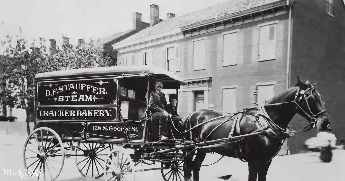 A horse-drawn carriage labeled "D.F. Stauffer, Steam Cracker Bakery" is parked in front of a brick building.