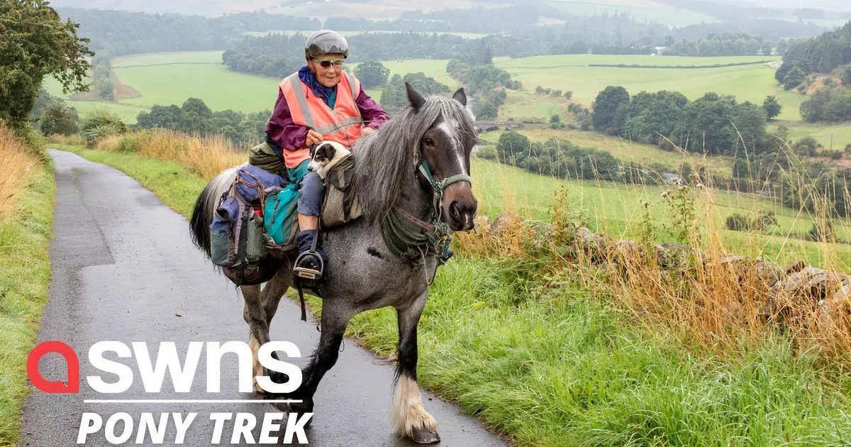 80-Year-Old Adventurer Embarks on 600-Mile Journey With Pony and Dog