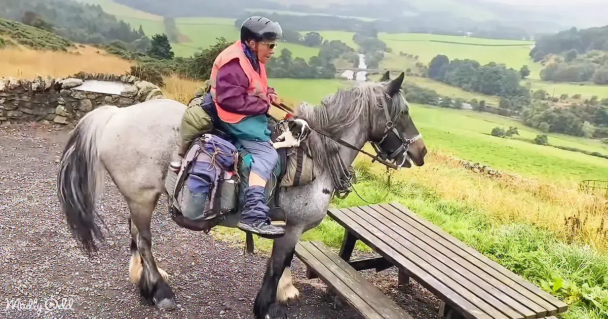 A person wearing a helmet and riding a gray horse with a saddle and backpack, near a picnic bench in a scenic countryside.