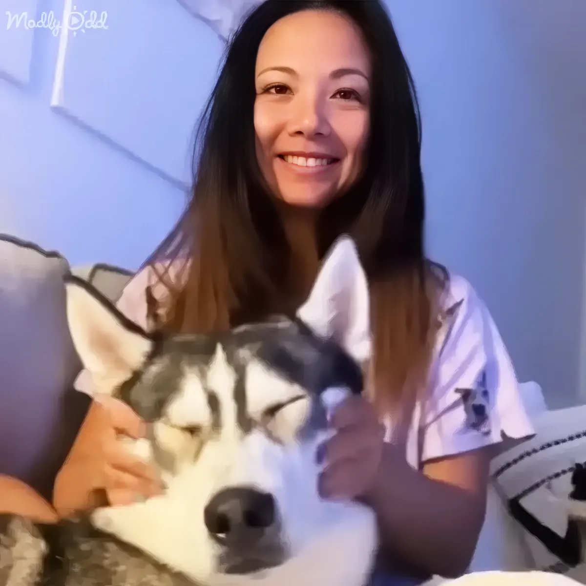 A woman smiles while holding and petting a husky dog on a couch.