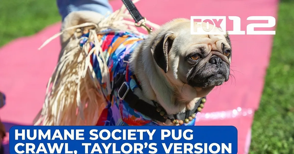 Pug Parade in Taylor Swift Style Raises Funds and Smiles