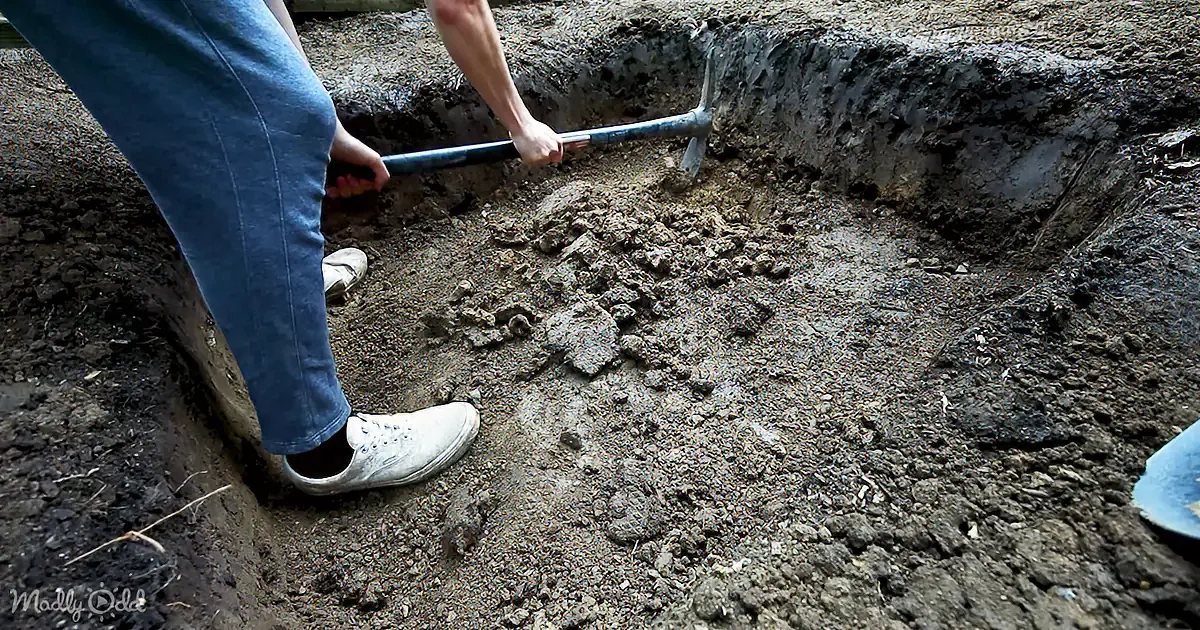 A person digs into a trench with a shovel, wearing jeans and white shoes.
