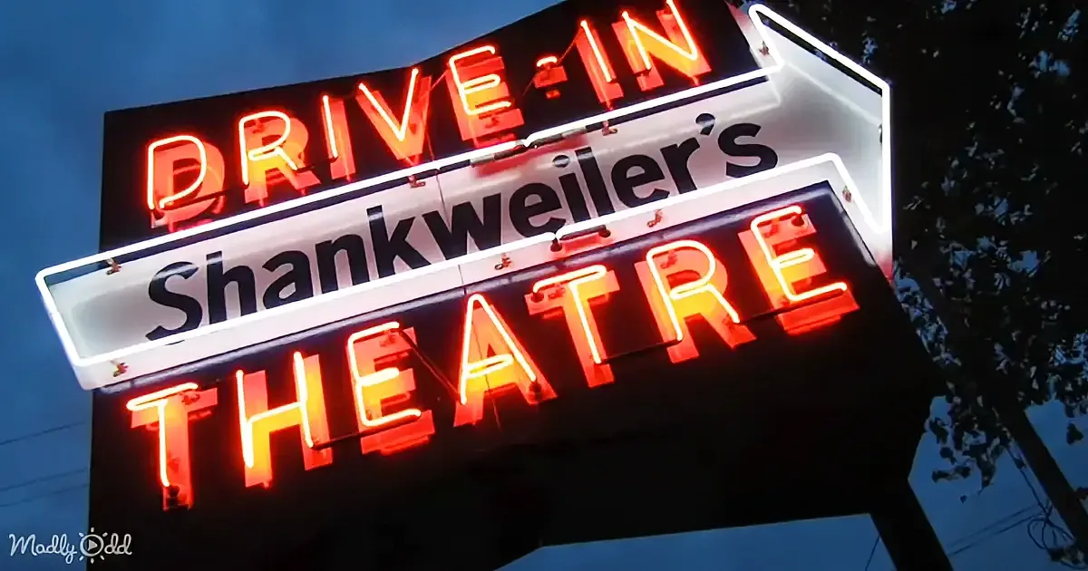 A neon sign reads "Drive-In Shankweiler's Theatre" against a dark sky.