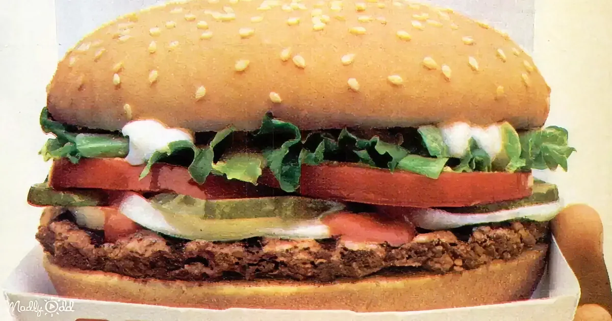 A close-up of a sesame seed bun burger with lettuce, tomato, pickles, and a beef patty.
