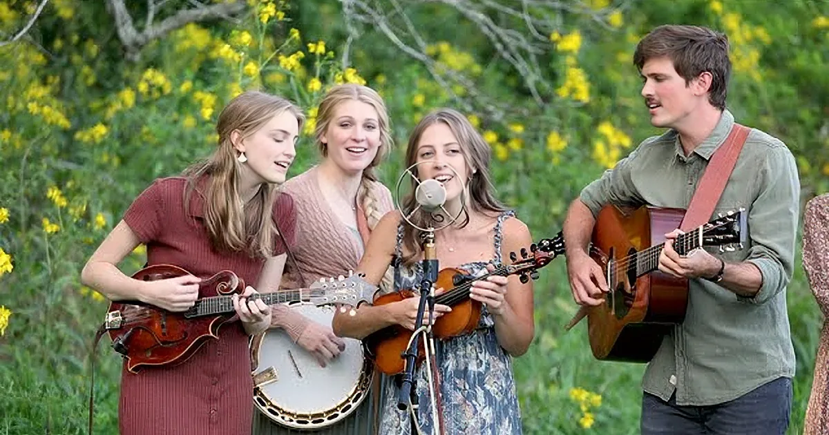A group of four musicians, including a violinist and banjo player, perform outdoors amidst yellow flowers.