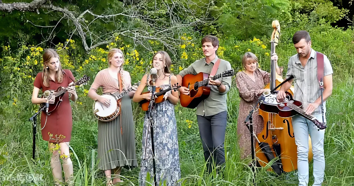 A group of musicians plays folk music outdoors in a grassy area with a banjo, mandolin, guitar, bass, and violin.