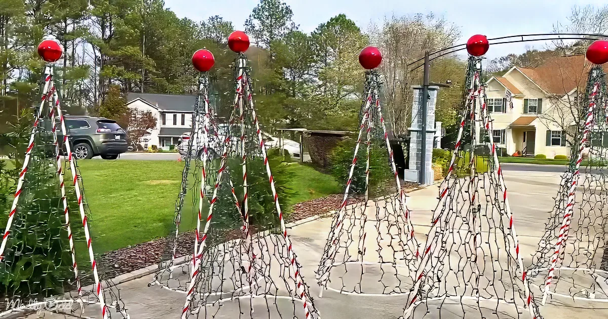 Red and white Christmas lights form a festive archway in a suburban neighborhood.