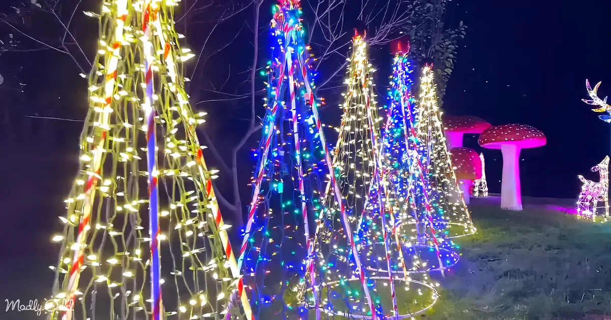 I see colorful, illuminated Christmas trees and whimsical decorations like mushrooms and deer in a nighttime setting.