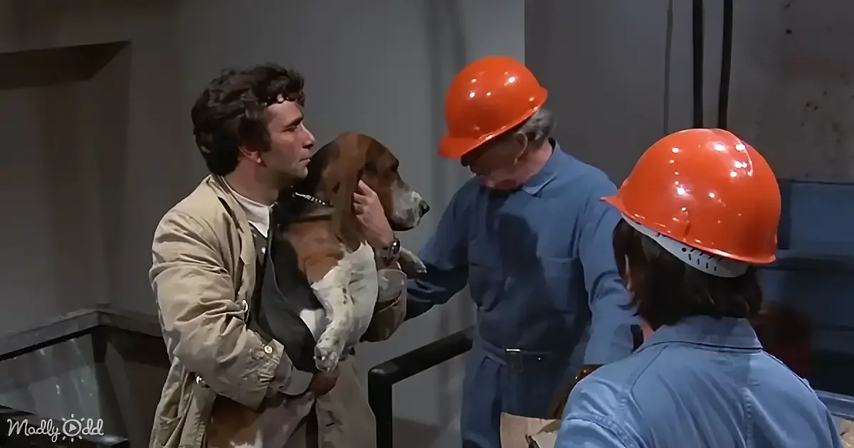 A man in a beige coat holds a dog while two men in blue uniforms and orange hard hats look on.