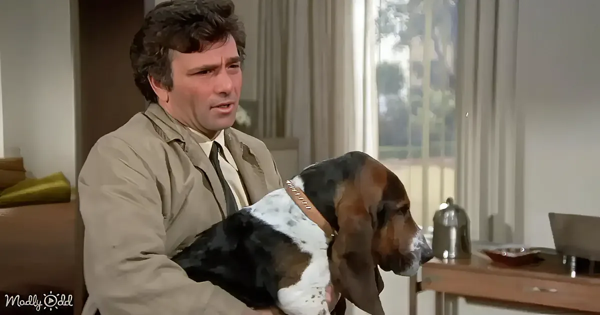 A man in a beige shirt leans close to a brown and white dog with a white car and brick wall in the background.