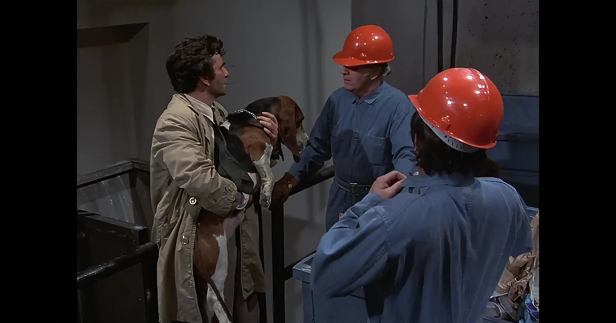 6 Times Columbo's Loyal Basset Hound Cracked the Case and Stole the Show