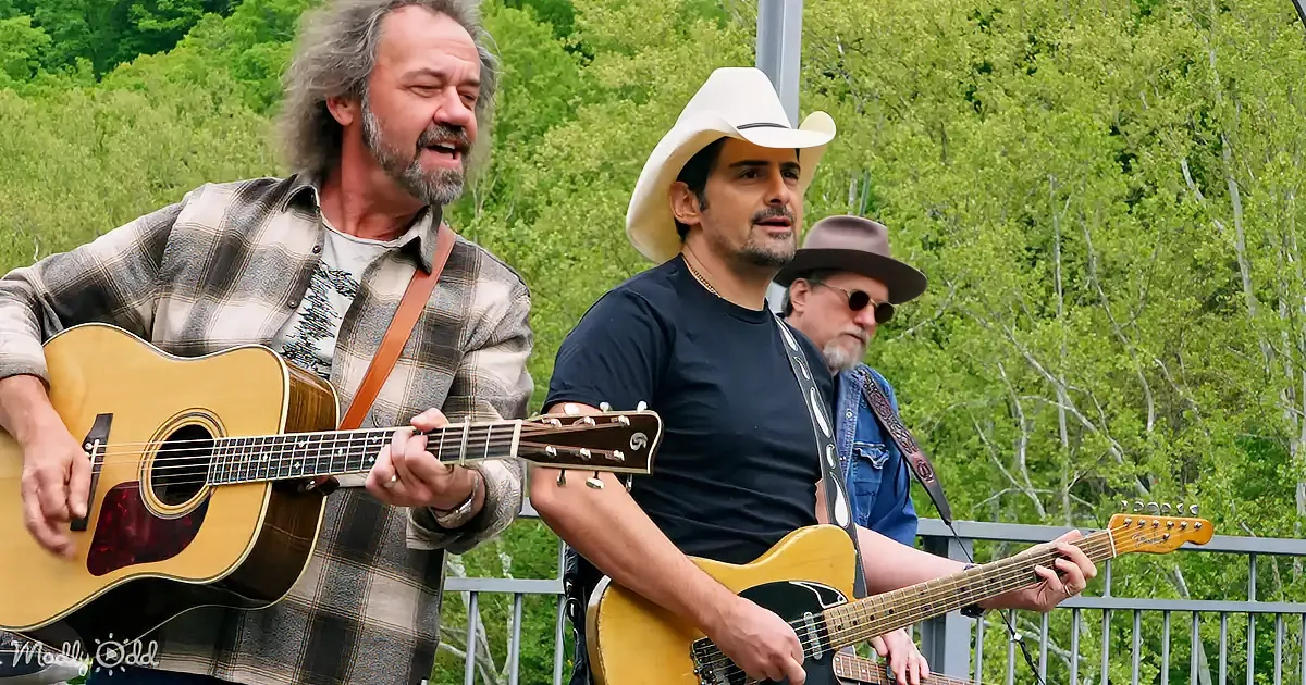 A man in a plaid shirt plays guitar while another in a cowboy hat sings and plays a yellow guitar.