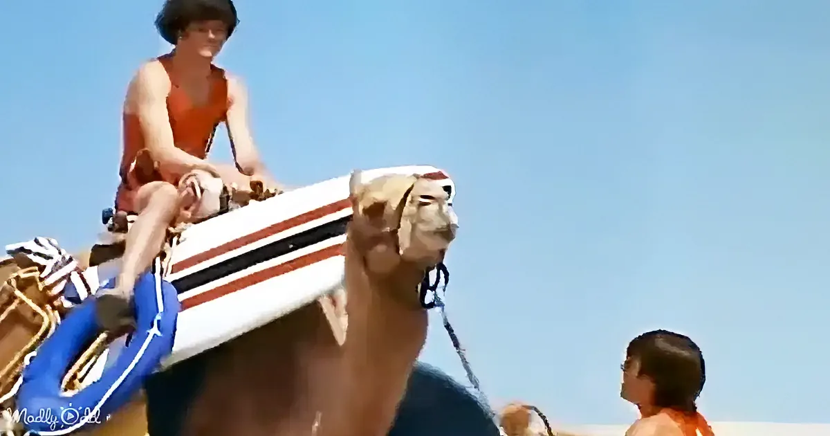 A person in an orange tank top rides a camel with a striped saddle, wearing a blue life preserver.
