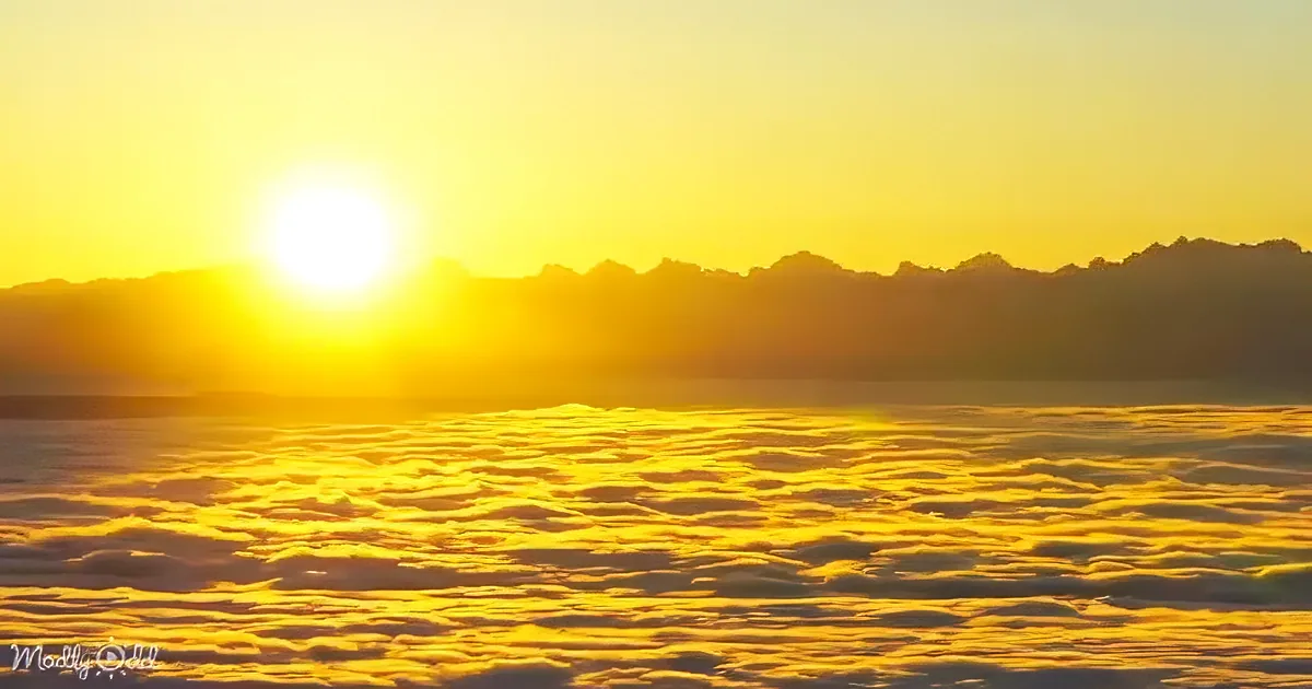 The sun sets over a sea of clouds, casting a golden glow across the sky and landscape.