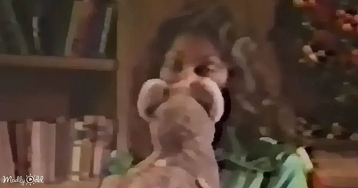 A dog with a stuffed toy in its mouth, standing in a room with a Christmas tree and shelves in the background.
