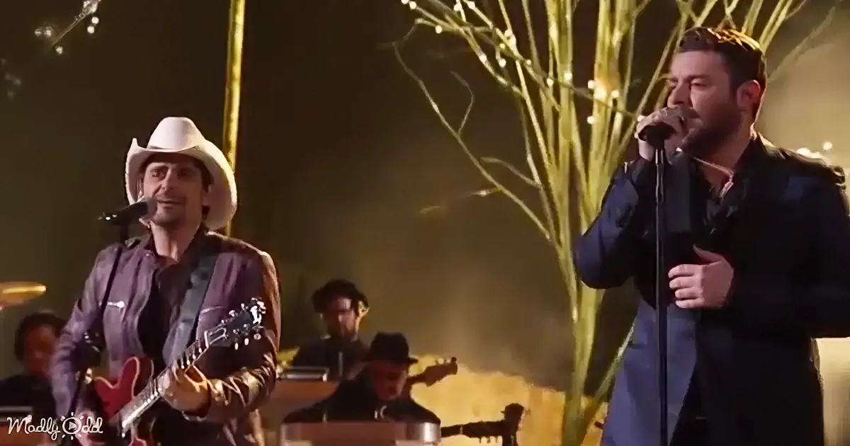 Two men perform on stage, one playing guitar and singing, the other singing into a microphone.
