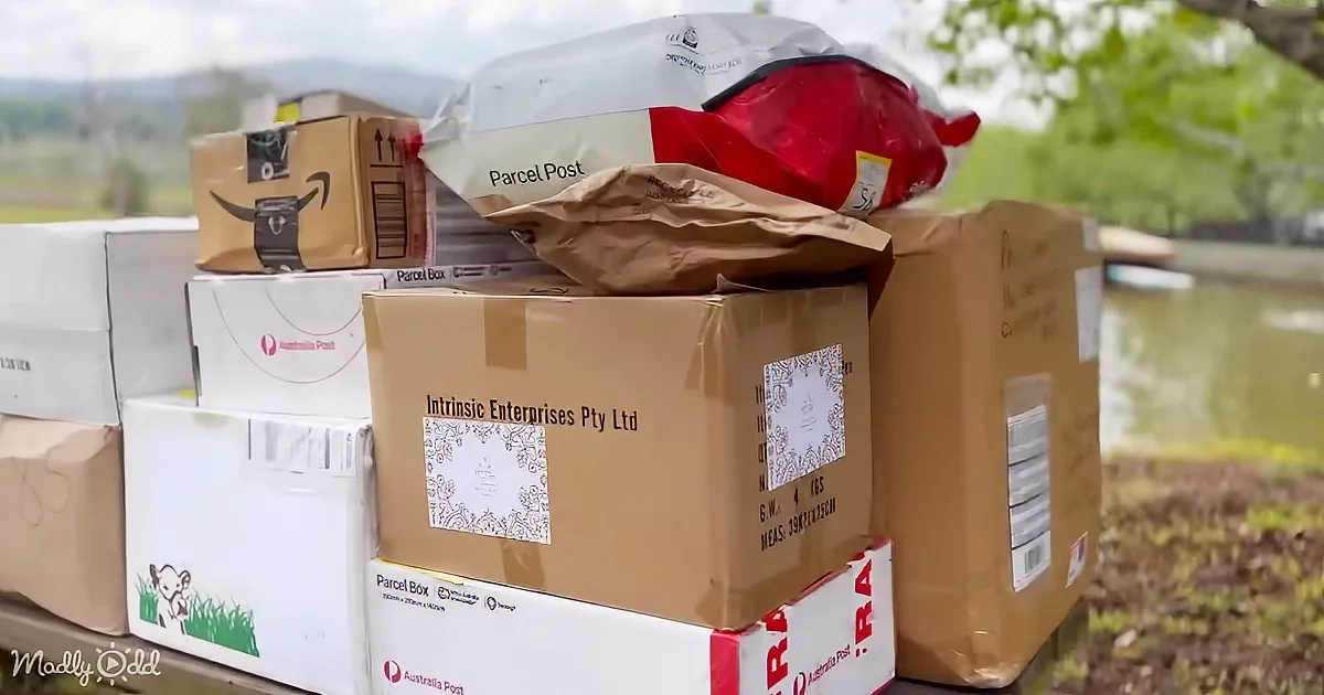 Stacked parcels and boxes, including Australia Post and Amazon, outdoors near a body of water.
