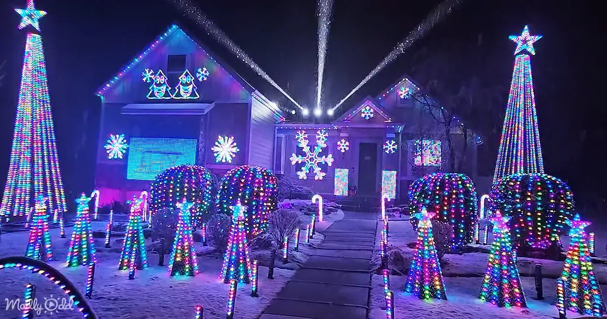A house adorned with colorful Christmas lights, including reindeer and snowflake decorations, stands illuminated against...