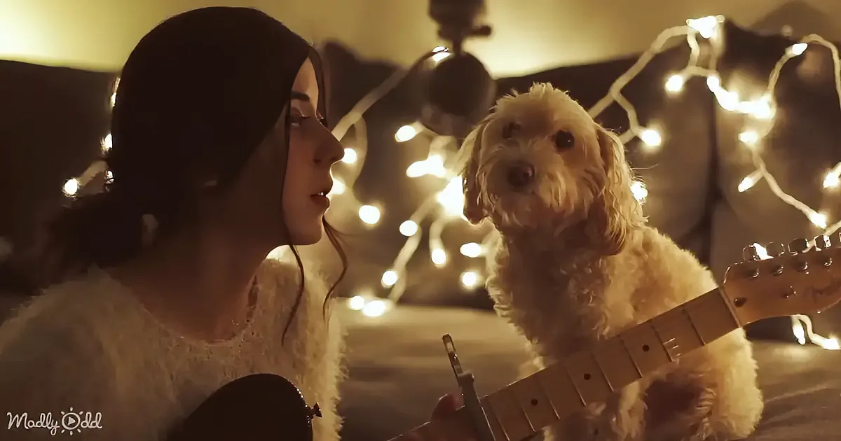 A woman plays guitar while a fluffy dog watches intently, surrounded by twinkling lights.
