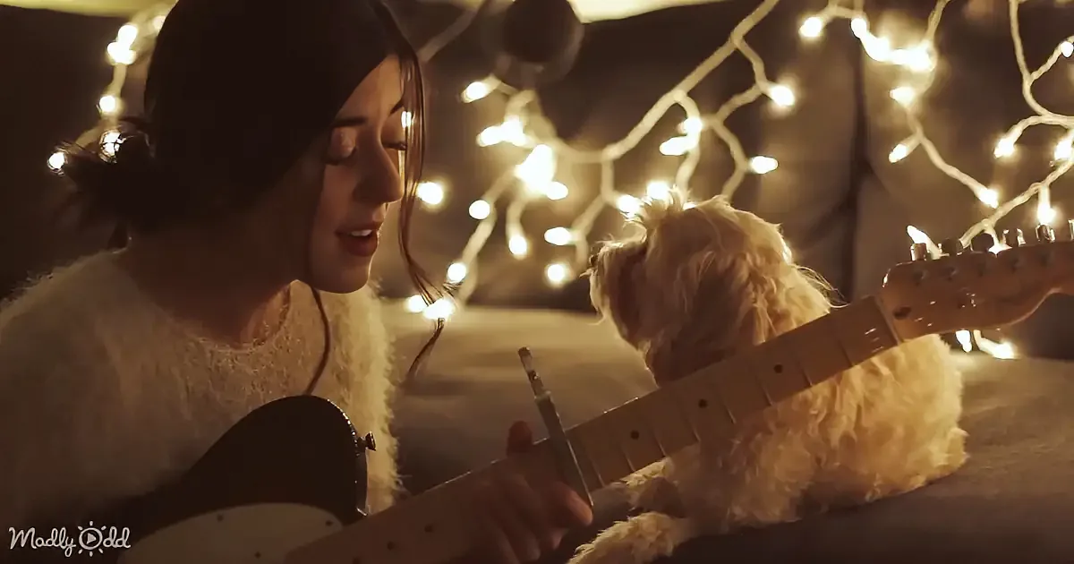 'Christmas Time Is Here' Serenade for Her Adorable Puppy