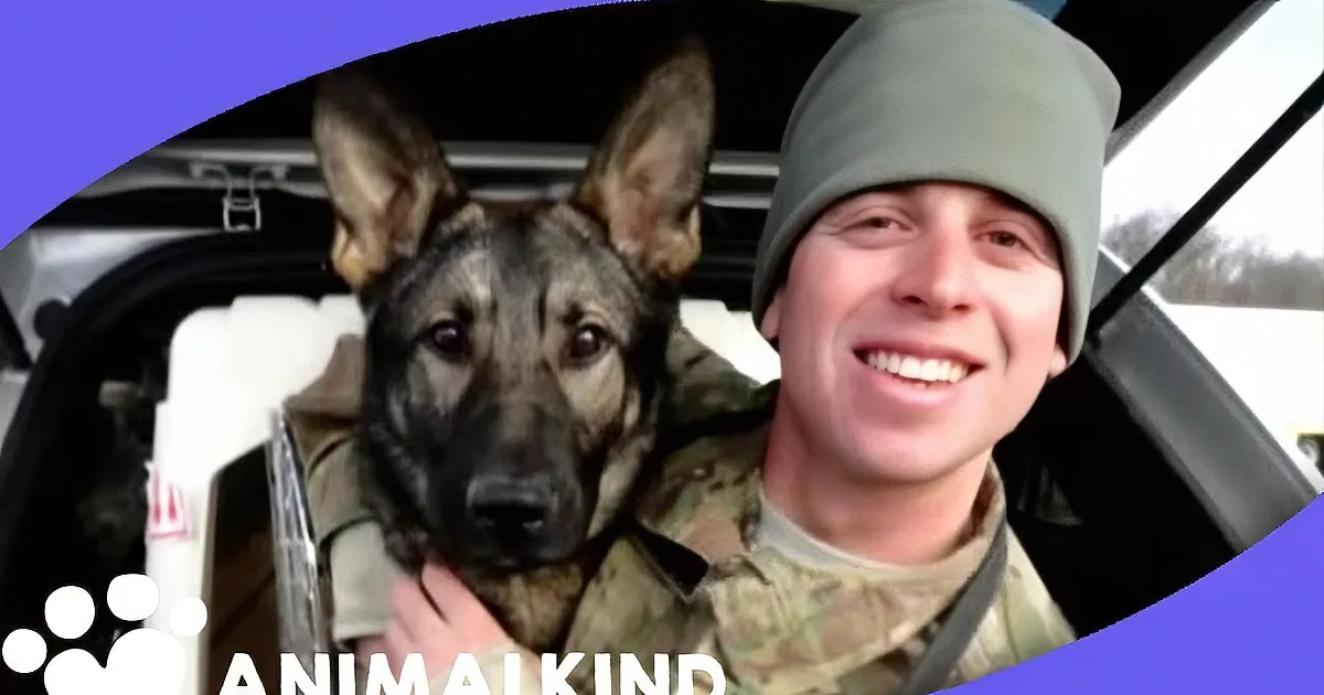 'A Soldier's Best Friend: the Emotional Reunion After Years of Separation'