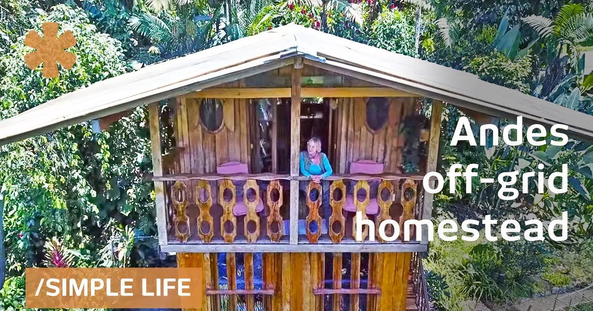 Woman Ditches Rat Race to Build Stunning Tower Home in Remote Mountains