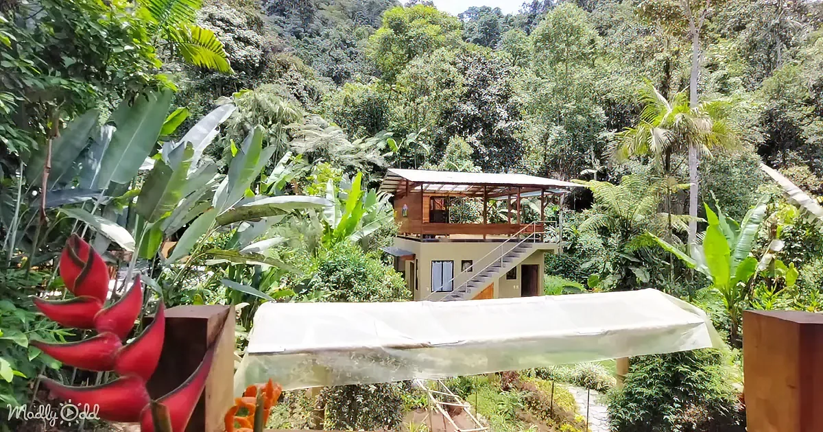 A two-story house with a wooden deck and staircase is surrounded by lush greenery and vibrant red flowers.