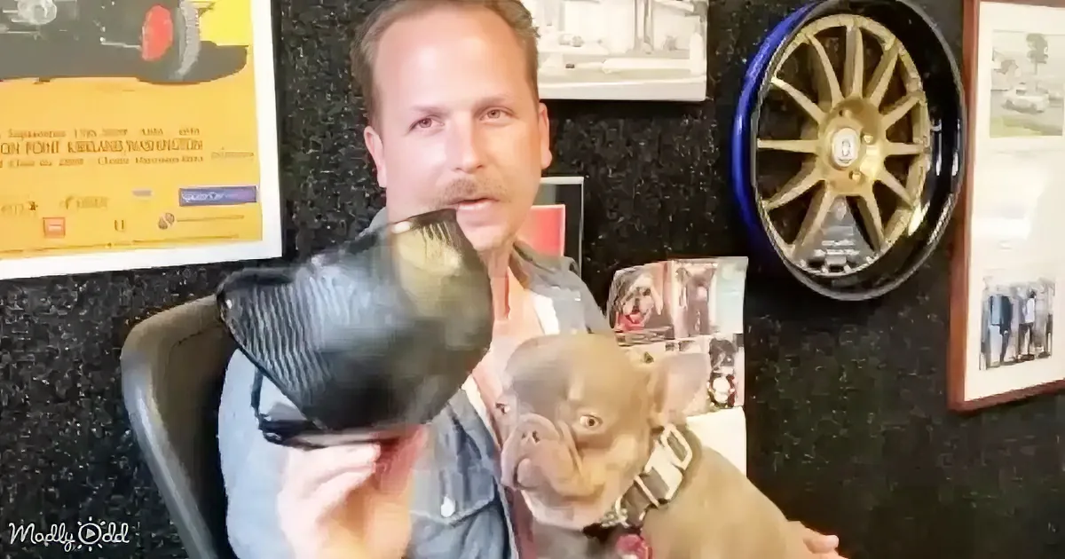 A man holds a small dog with a black object in front of its face, surrounded by car-related items.