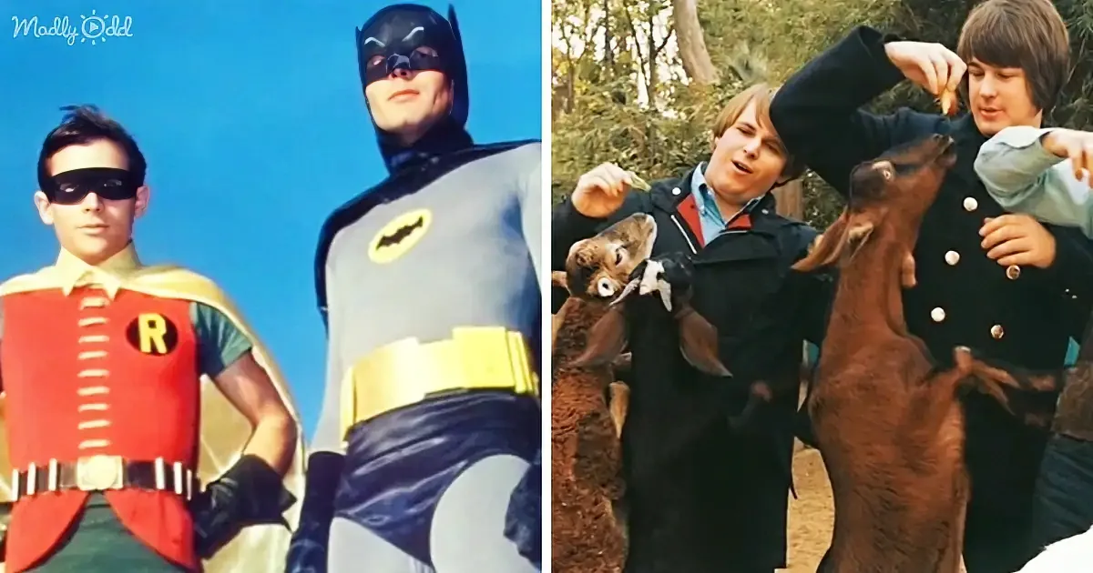 Relive the Excitement of 1966 With Batman and Beach Boys