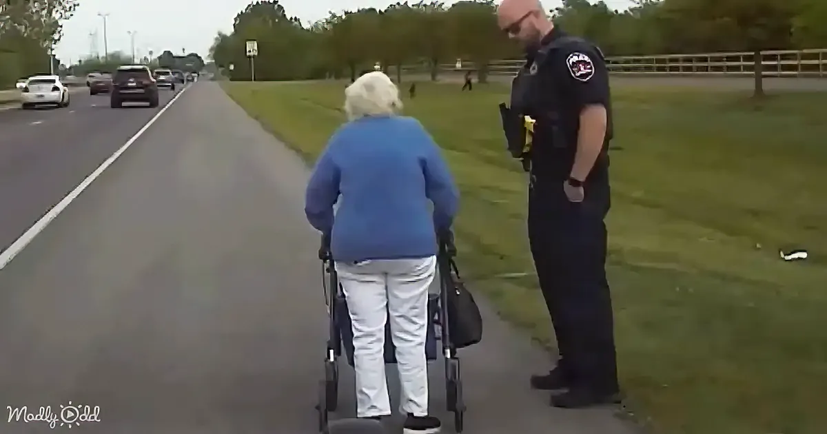 An elderly woman with a walker is being assisted by a police officer on the side of a road.