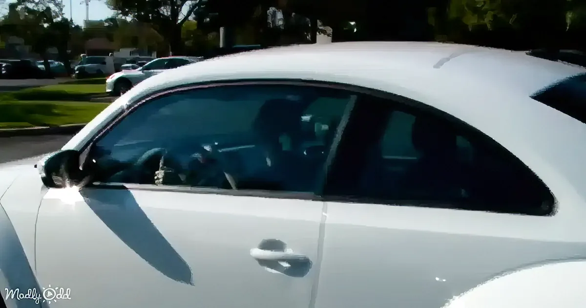 A white car with tinted windows is parked on a sunny day, reflecting sunlight on its surface.