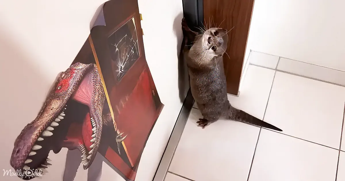 A curious otter stands near a door, looking at a poster of a dinosaur with an open mouth.